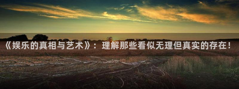 风暴娱乐登录：《娱乐的真相与艺术》：理解那些看似无理但真实的存在！
