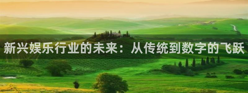 风暴娱乐官网：新兴娱乐行业的未来：从传统到数字的飞跃