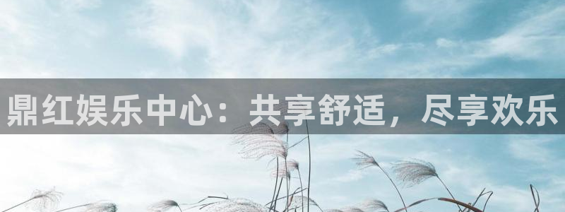 风暴娱乐官网：鼎红娱乐中心：共享舒适，尽享欢乐