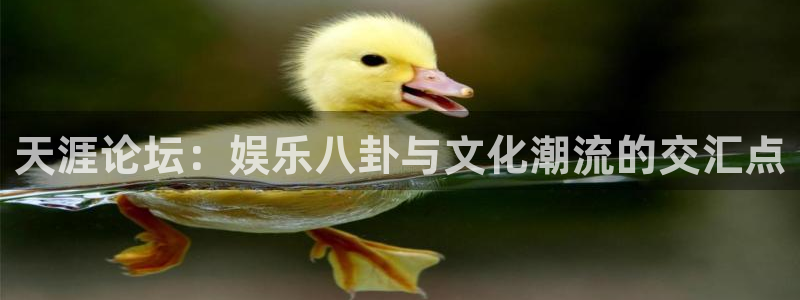 风暴娱乐登录地址：天涯论坛：娱乐八卦与文化潮流的交汇点