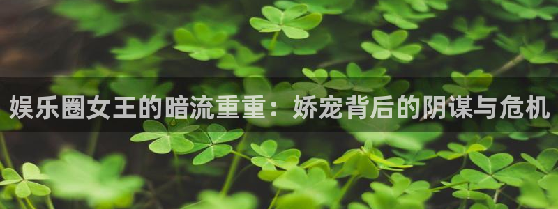 风暴娱乐登录：娱乐圈女王的暗流重重：娇宠背后的阴谋与危机
