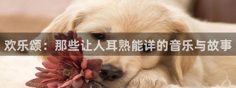 风暴娱乐登录地址：欢乐颂：那些让人耳熟能详的音乐与故事