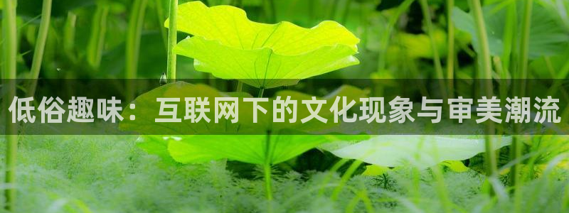 风暴娱乐官网：低俗趣味：互联网下的文化现象与审美潮流