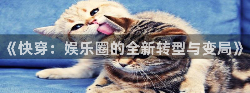 风暴娱乐登录：《快穿：娱乐圈的全新转型与变局》