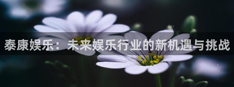 风暴娱乐登录地址：泰康娱乐：未来娱乐行业的新机遇与挑战