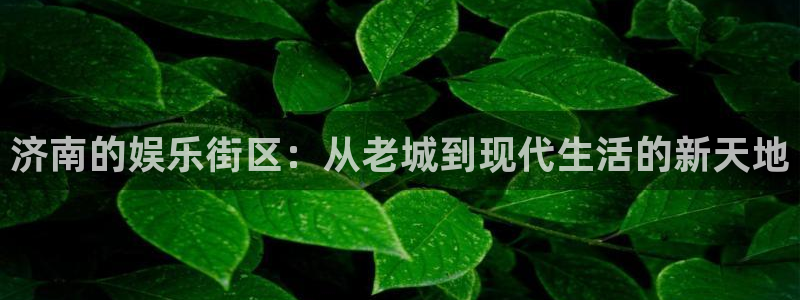 风暴娱乐登录：济南的娱乐街区：从老城到现代生活的新天地